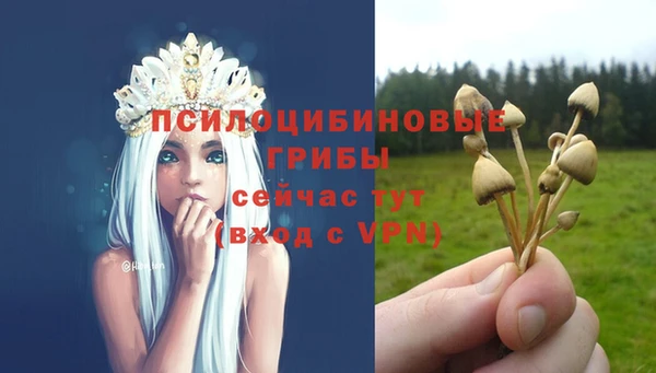 прущий лед Алзамай