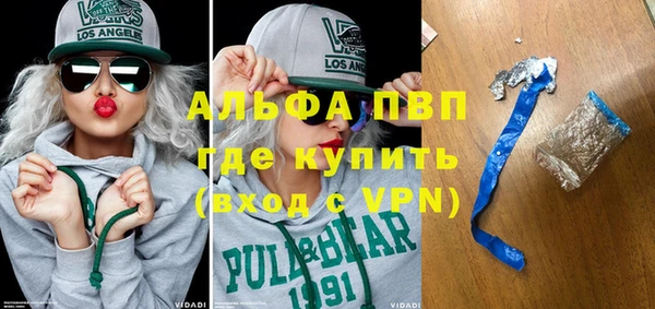 прущий лед Алзамай