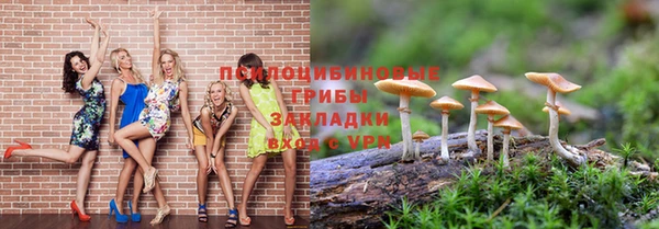 прущий лед Алзамай