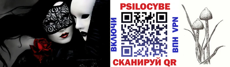 купить наркоту  ОМГ ОМГ маркетплейс  Псилоцибиновые грибы мухоморы  Нововоронеж 
